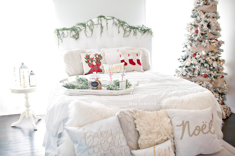Winnipeg Christmas Mini