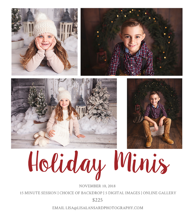 Winnipeg Holiday Mini